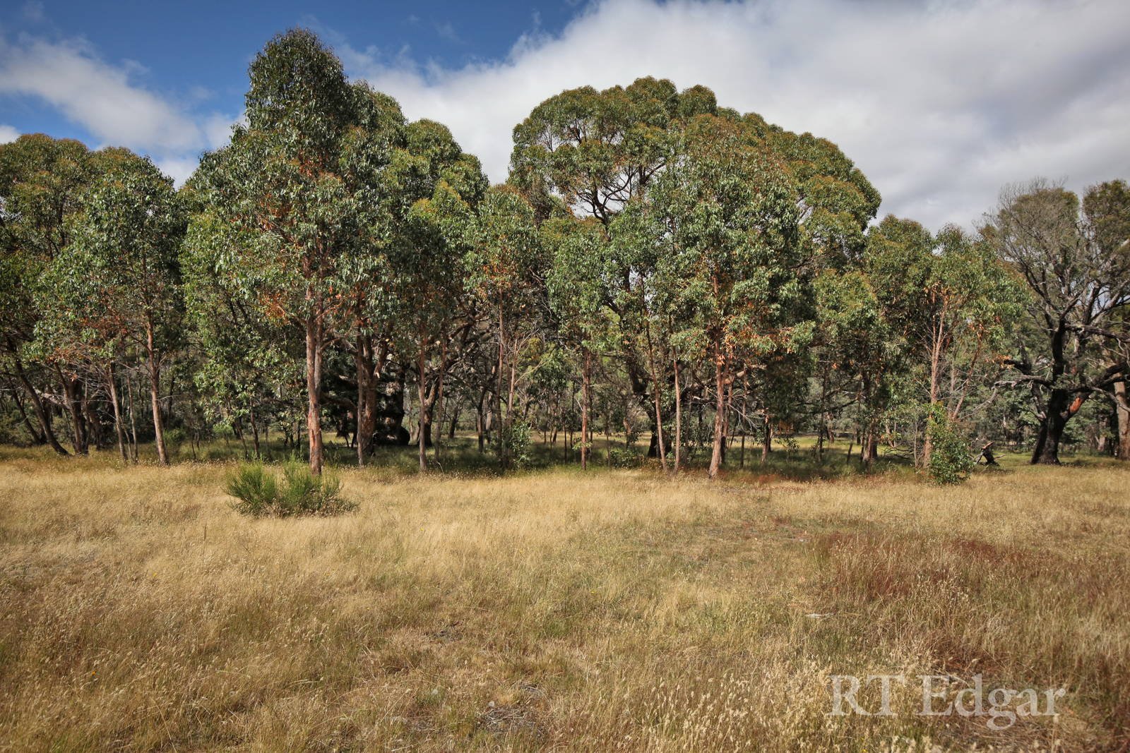 Real Estate and Property in 66 Hallorans Lane, Kyneton, VIC