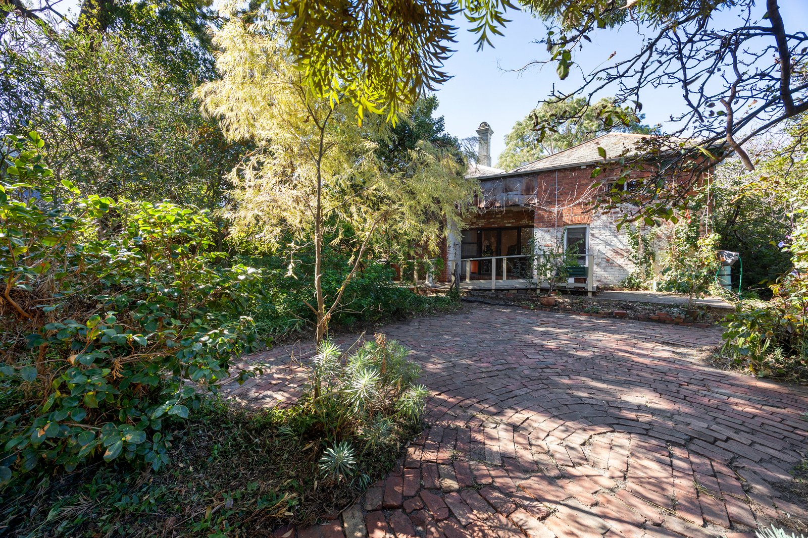 Gallery: 66 Hawthorn Road