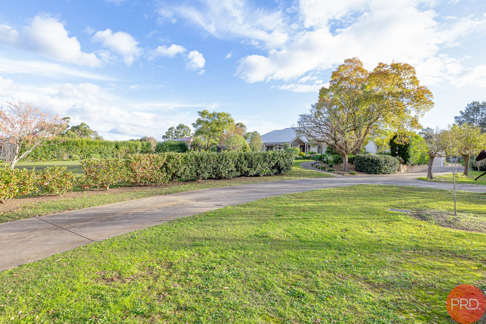 66 Hilldale Drive BOLWARRA HEIGHTS 5