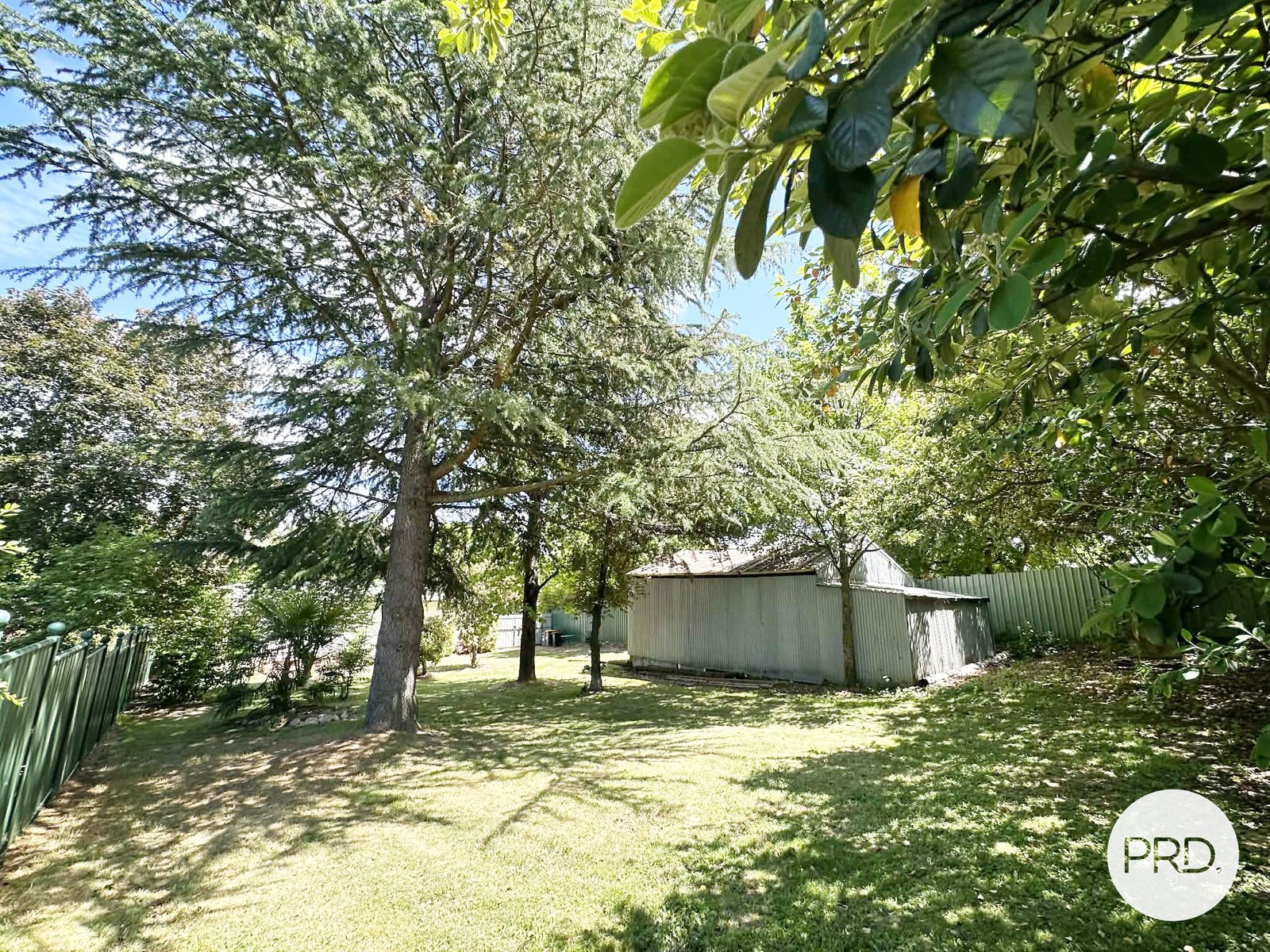 66 King Street TUMBARUMBA 12