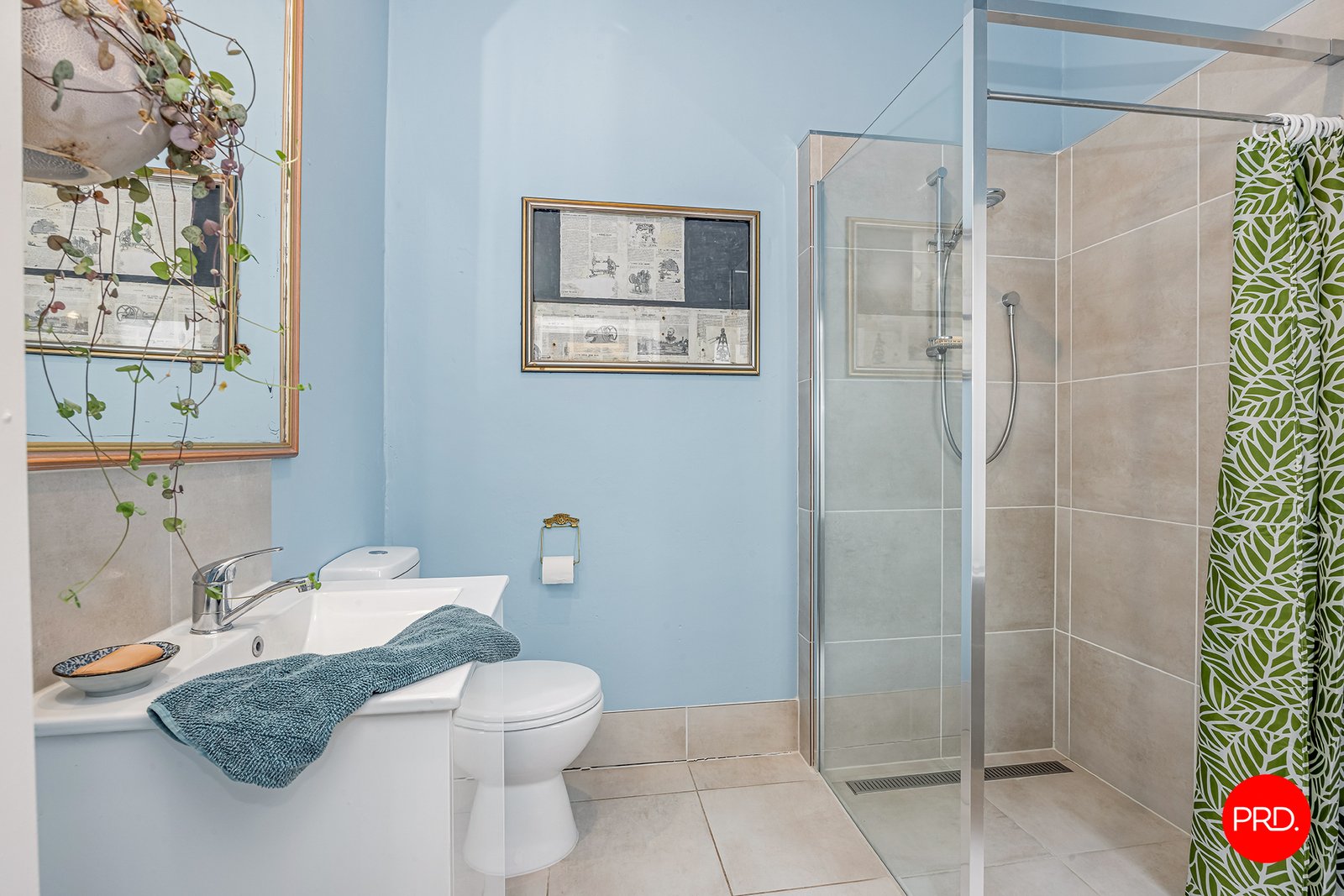 66 Mollison Street MALMSBURY 15