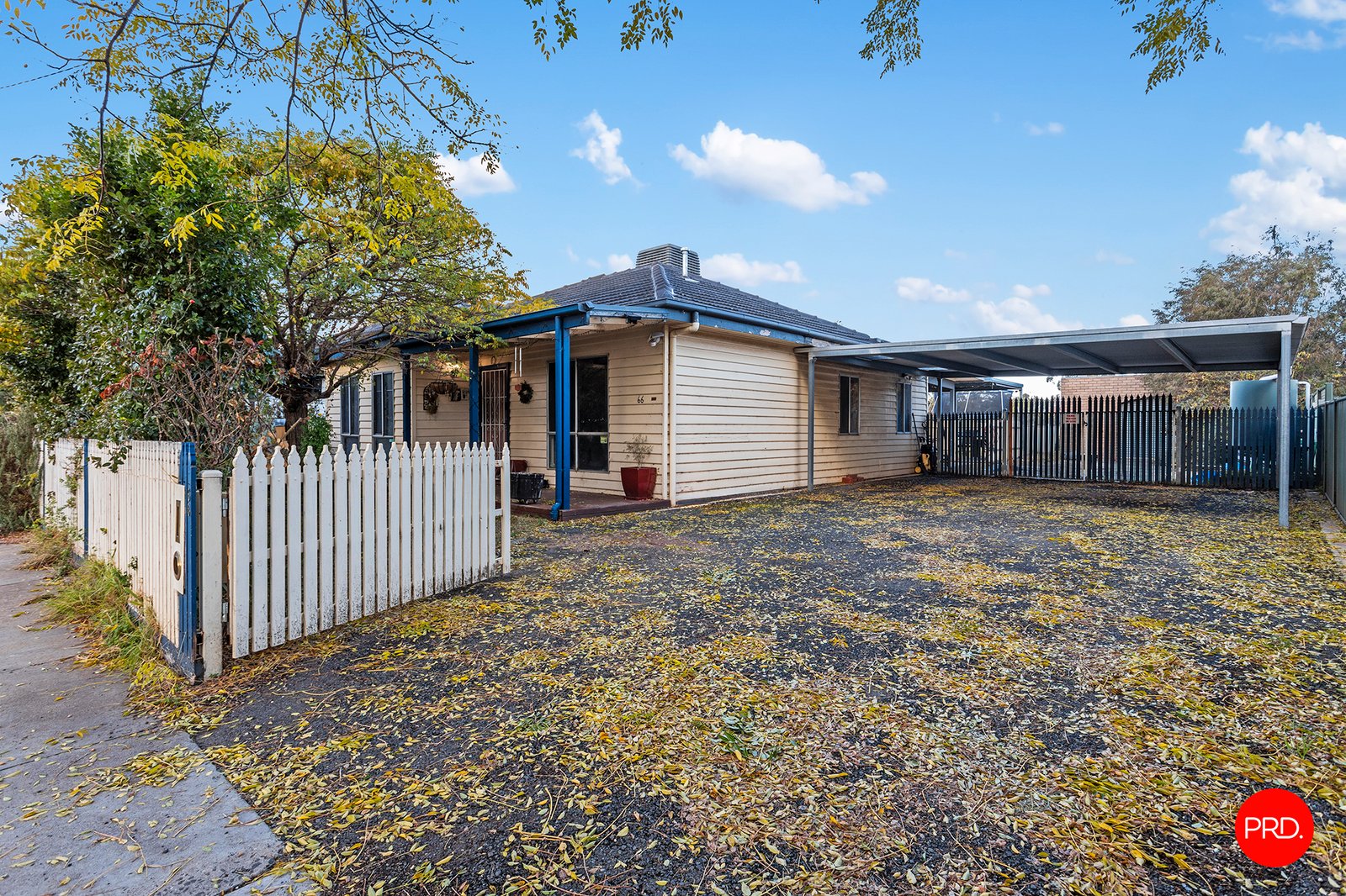 66 Nelson Street CALIFORNIA GULLY 1