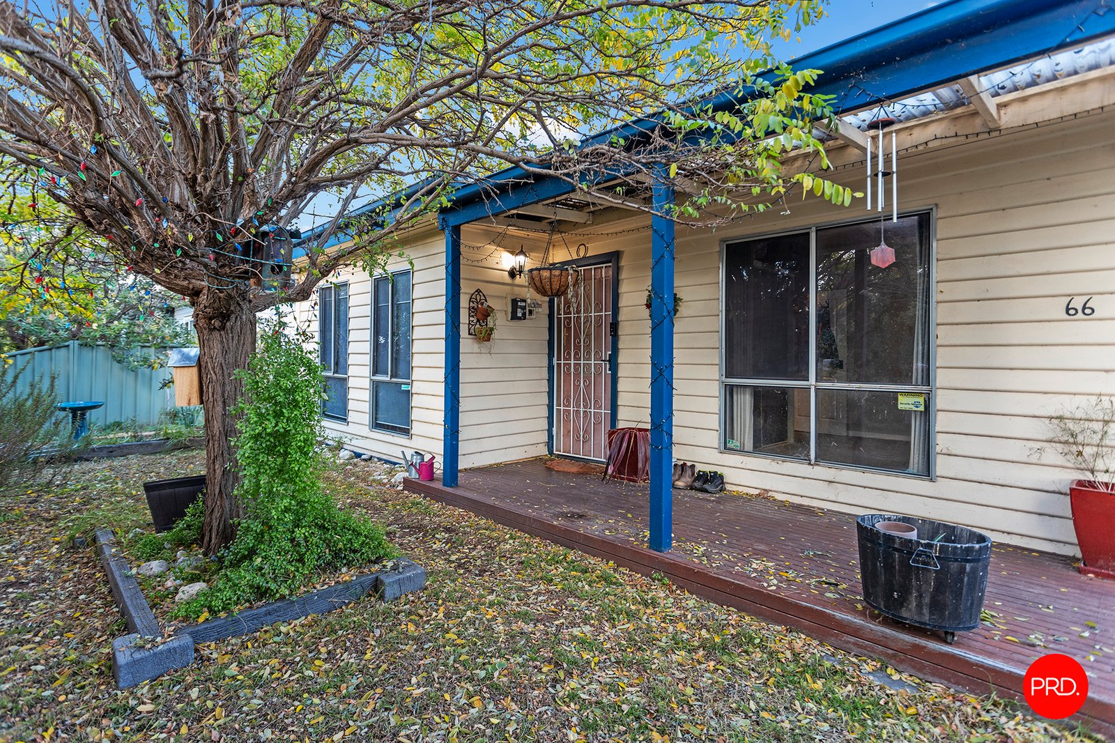 66 Nelson Street CALIFORNIA GULLY 2