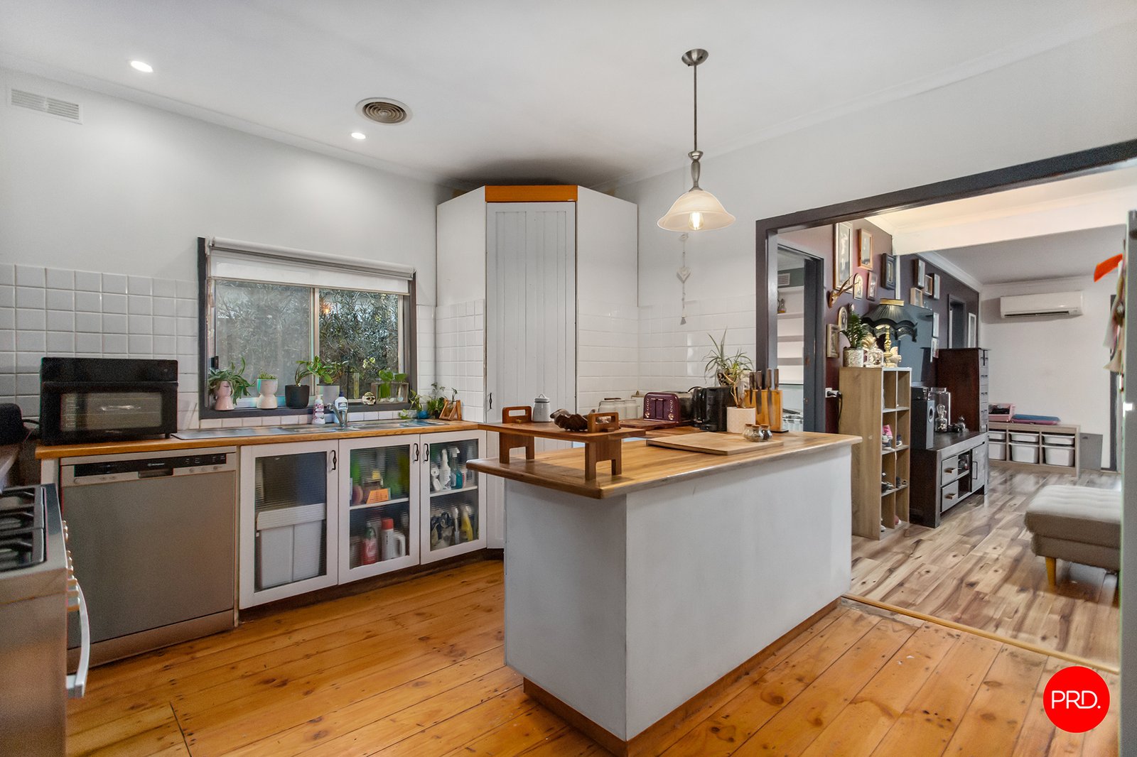 66 Nelson Street CALIFORNIA GULLY 3