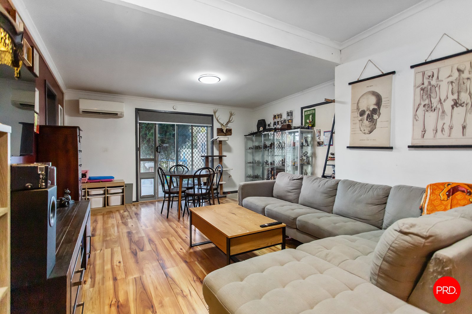 66 Nelson Street CALIFORNIA GULLY 5