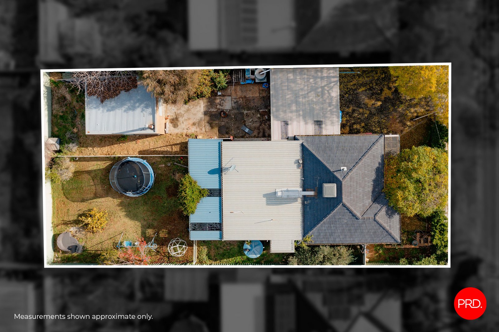 66 Nelson Street CALIFORNIA GULLY 16
