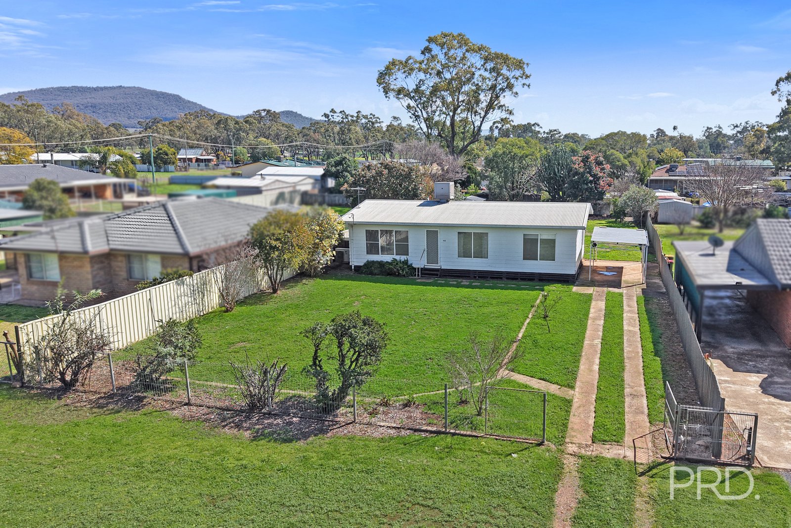 66 Pine Street CURLEWIS 1