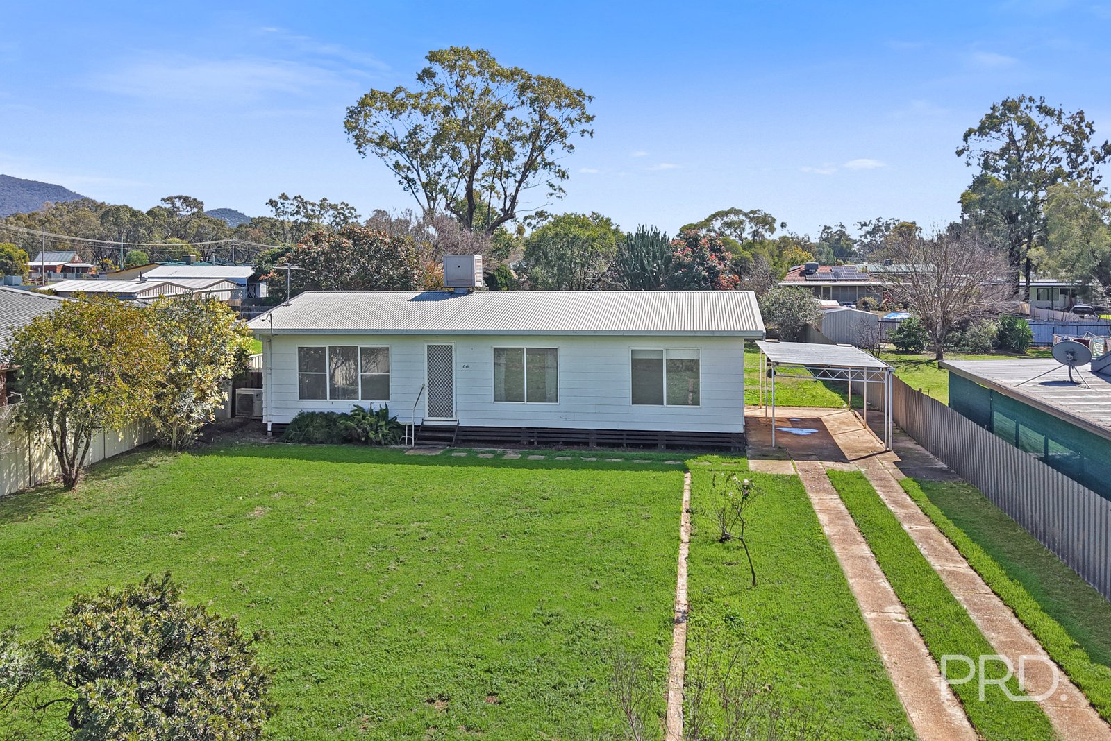 66 Pine Street CURLEWIS 2
