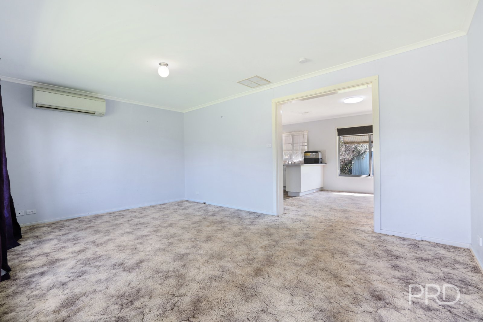 66 Pine Street CURLEWIS 4