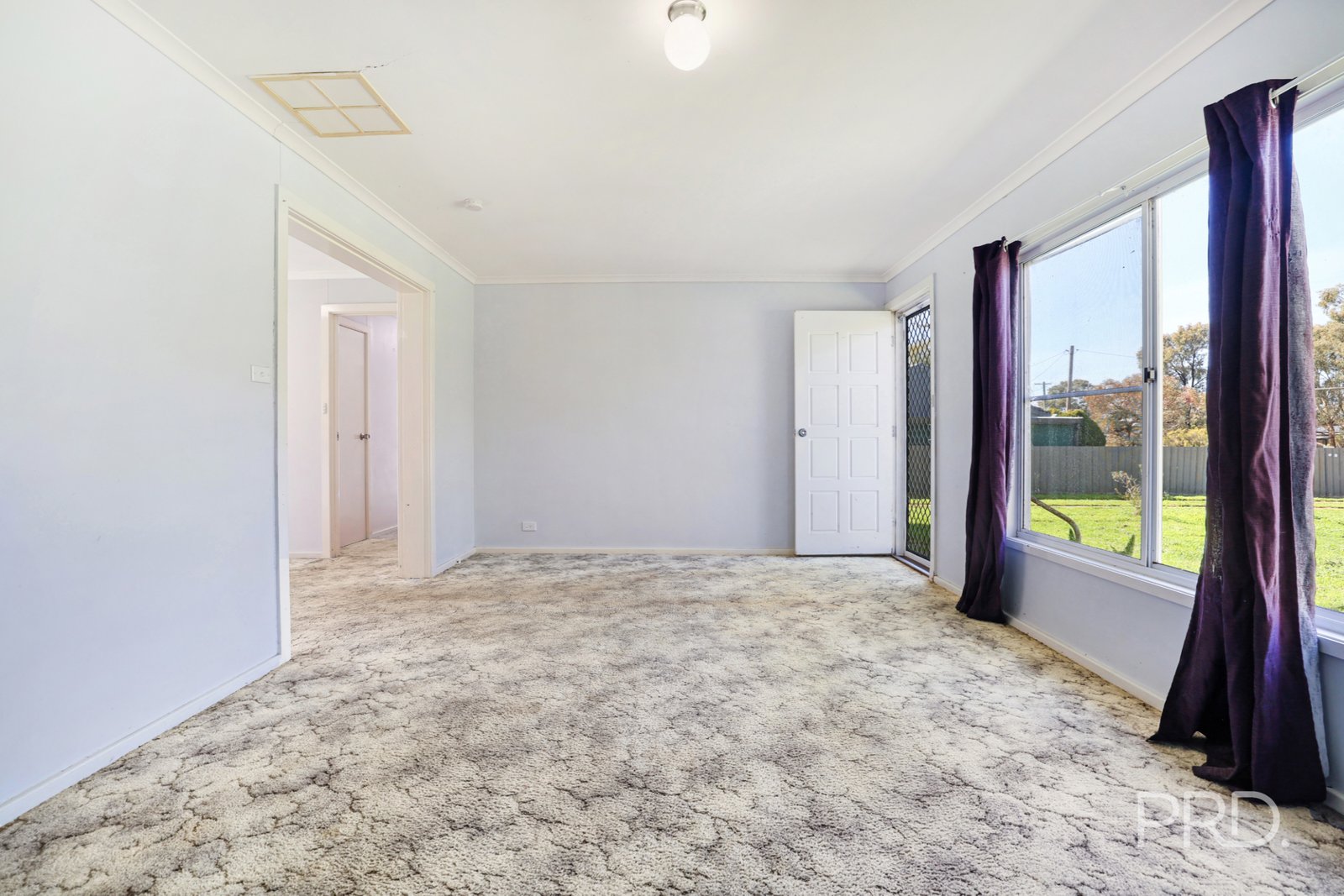 66 Pine Street CURLEWIS 6