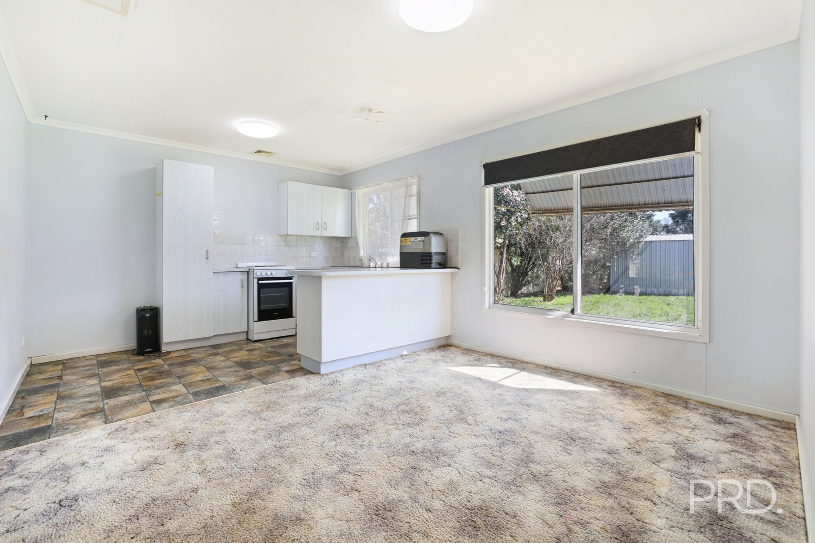 66 Pine Street CURLEWIS 7