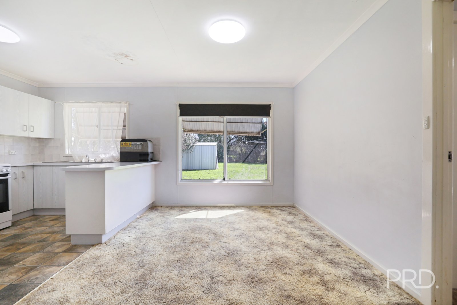 66 Pine Street CURLEWIS 8