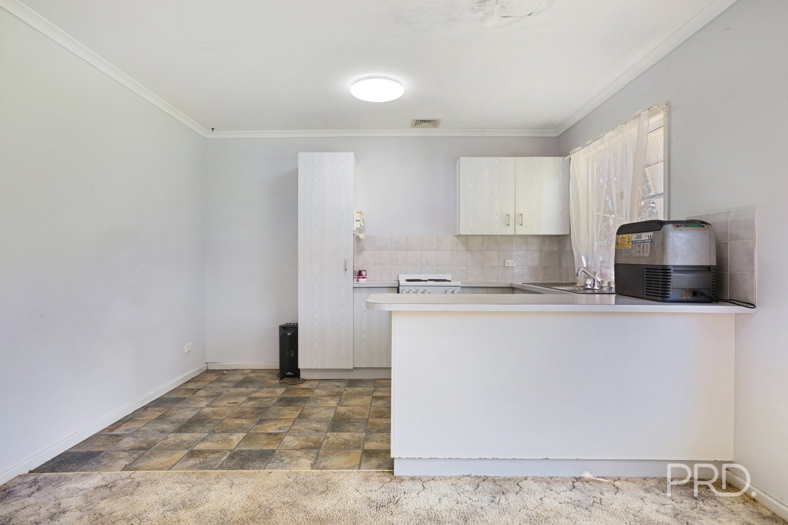 66 Pine Street CURLEWIS 9