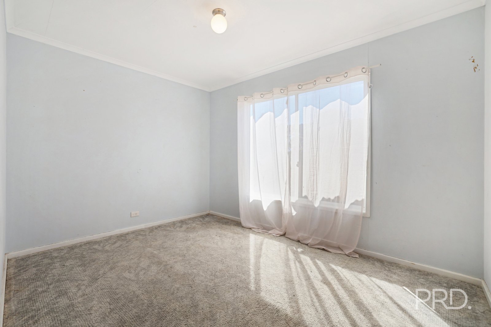 66 Pine Street CURLEWIS 14