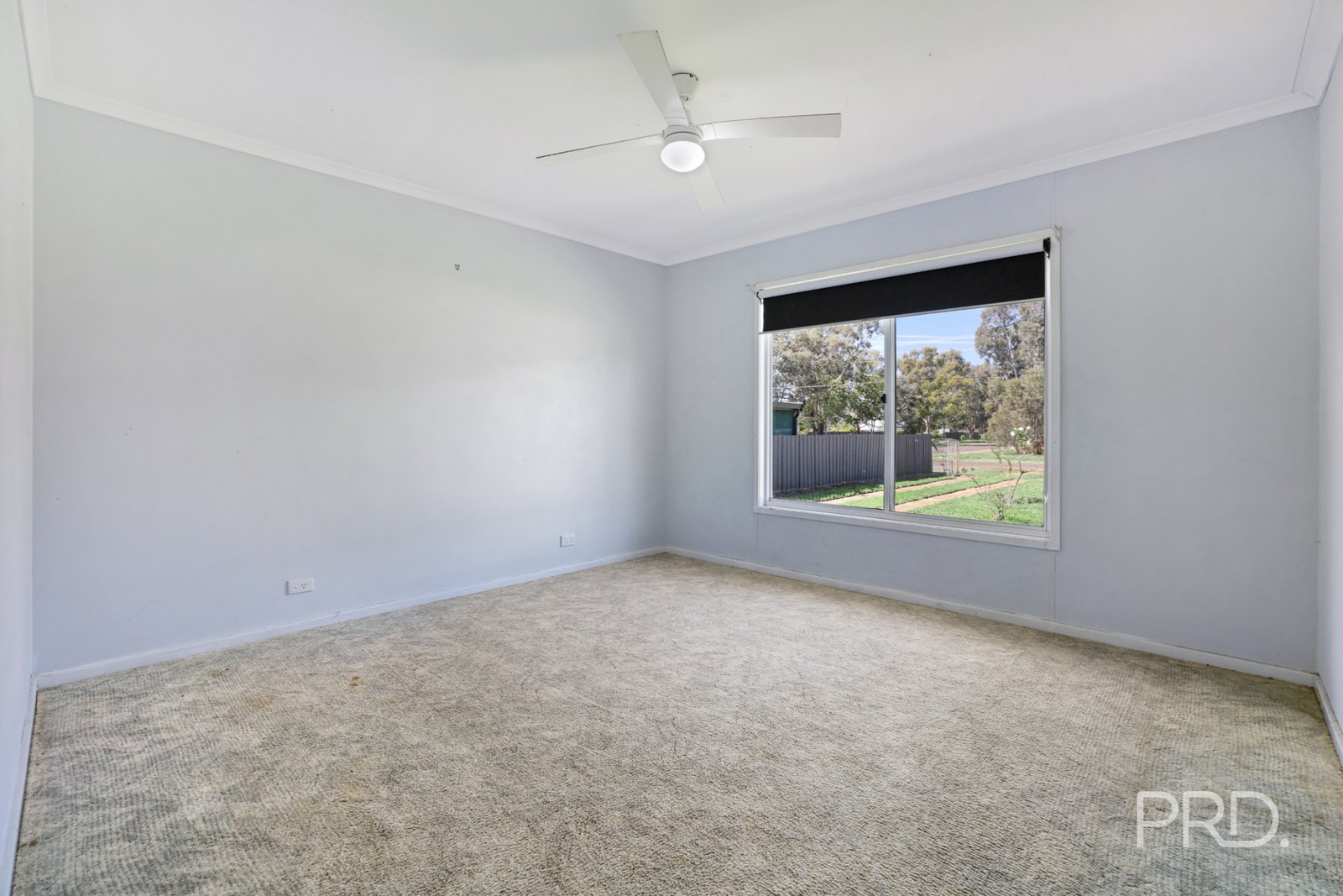 66 Pine Street CURLEWIS 15