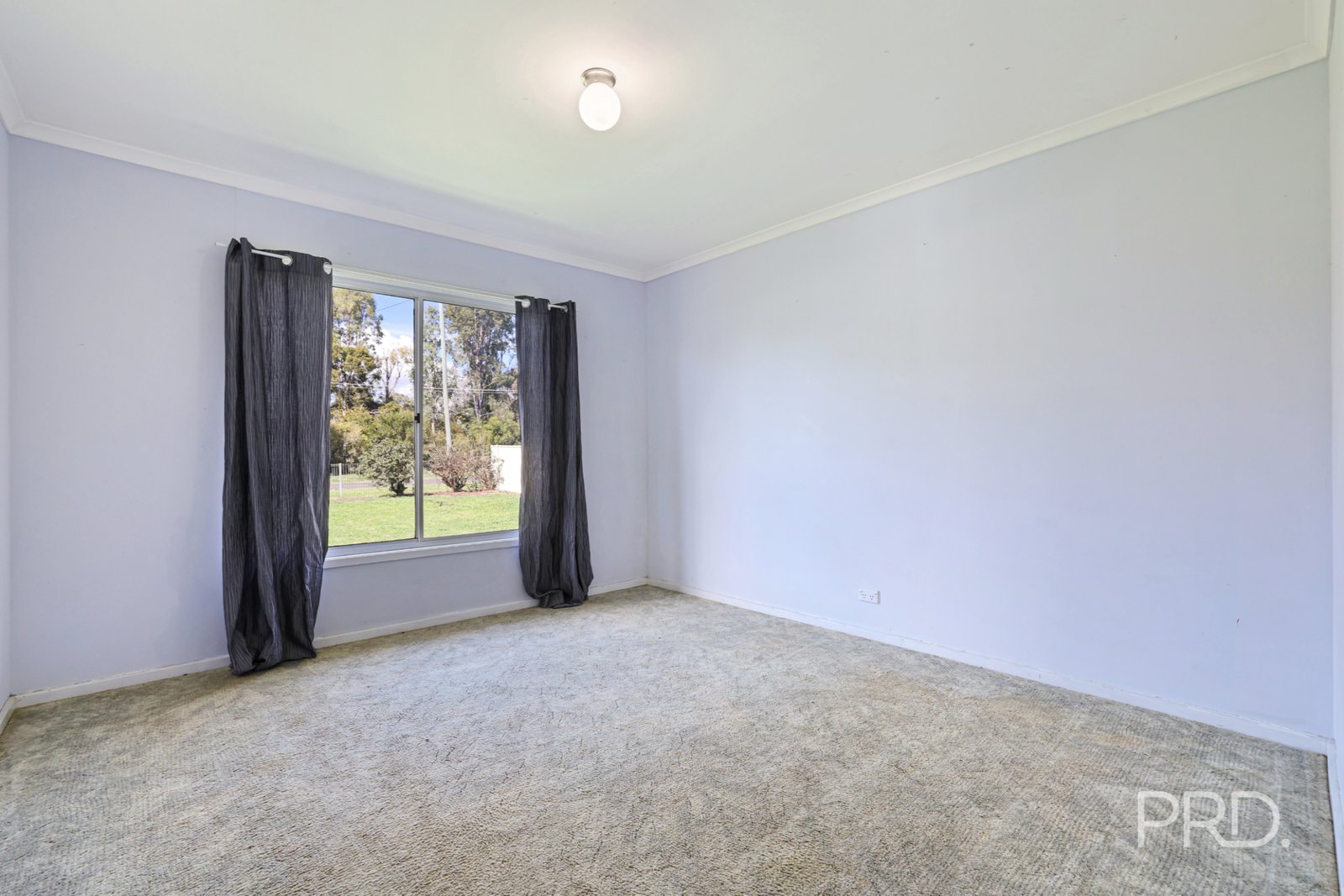 66 Pine Street CURLEWIS 16