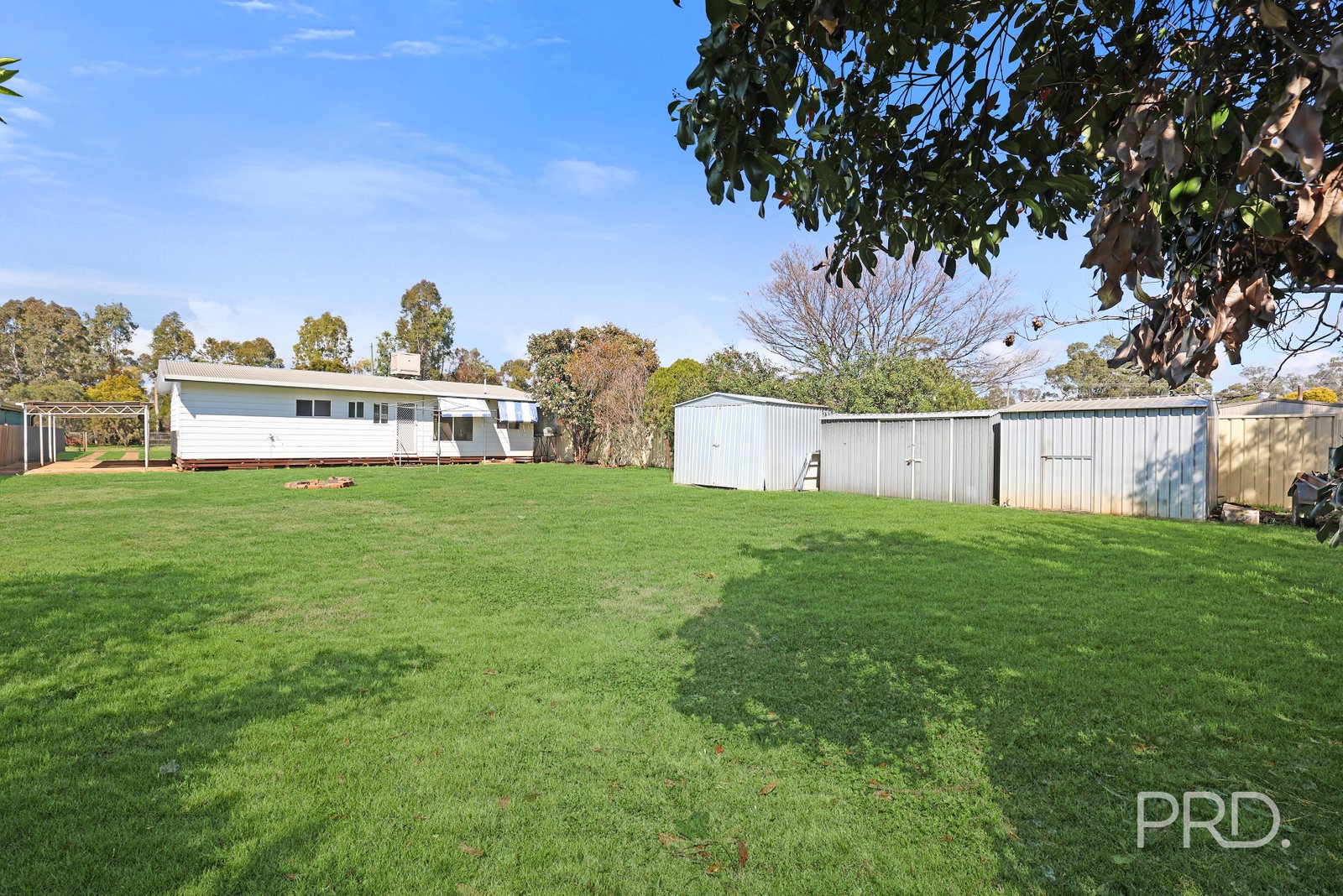 66 Pine Street CURLEWIS 19