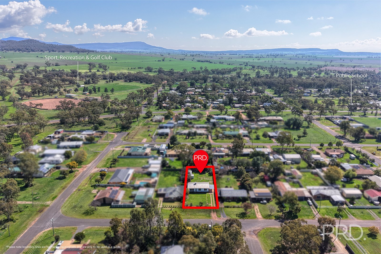 66 Pine Street CURLEWIS 21