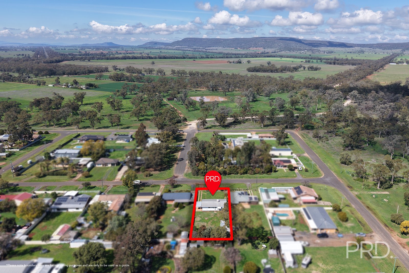 66 Pine Street CURLEWIS 23
