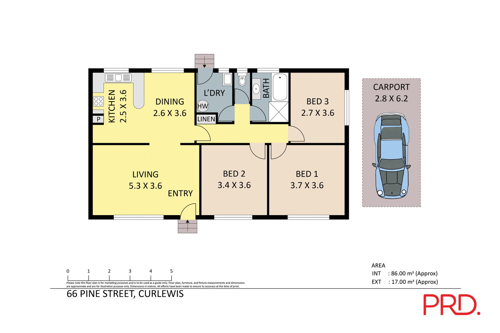 66 Pine Street CURLEWIS 24