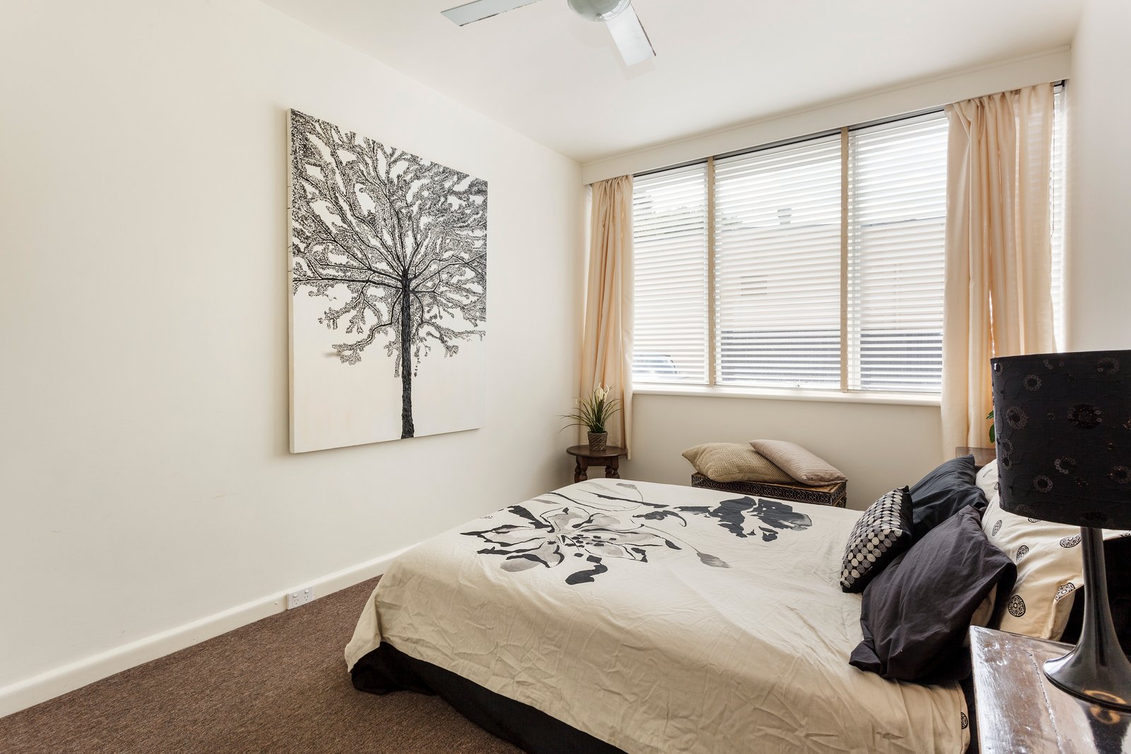 Gallery: 6/6 Redan Street