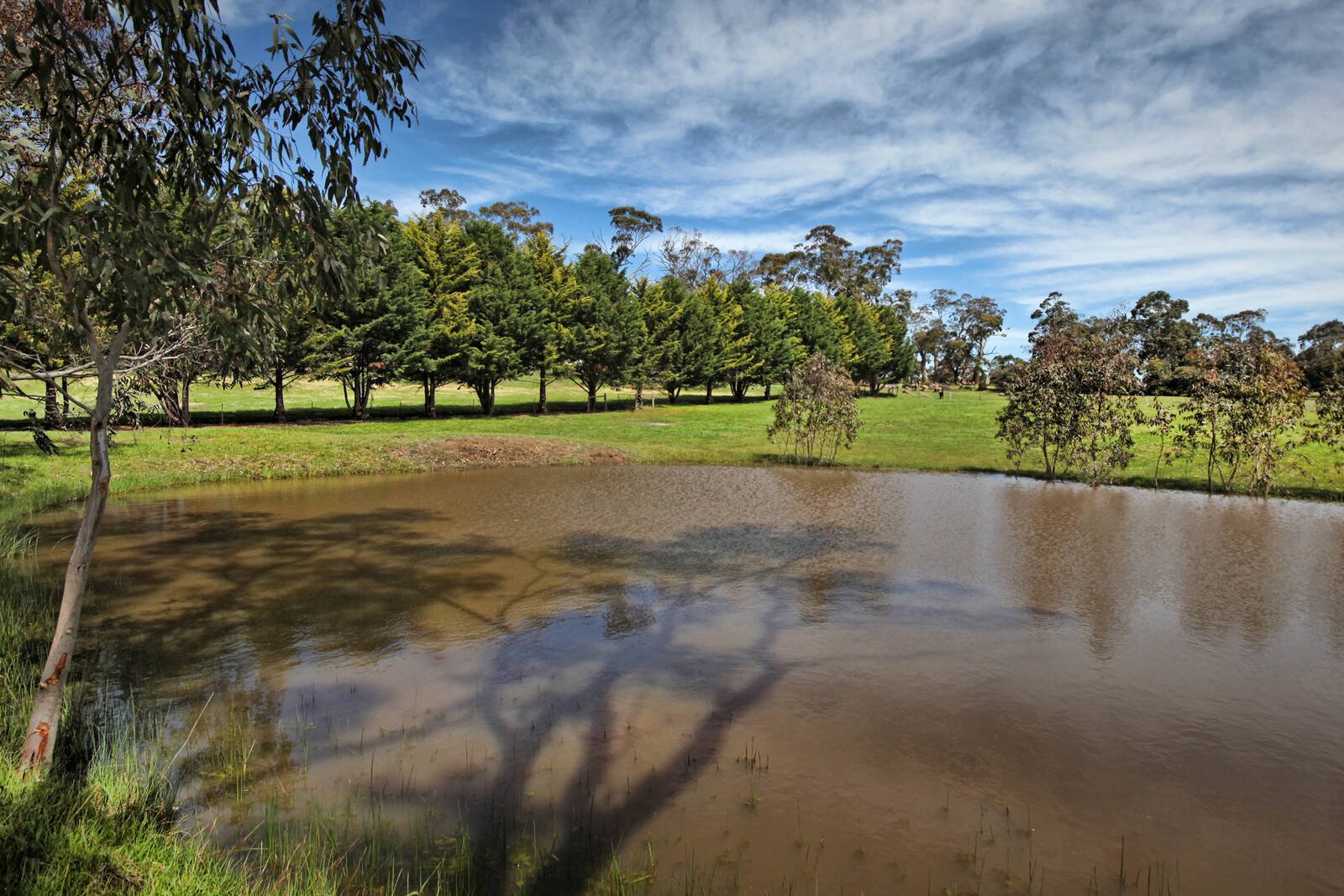 Real Estate and Property in 66 Trio Road, Kyneton, VIC