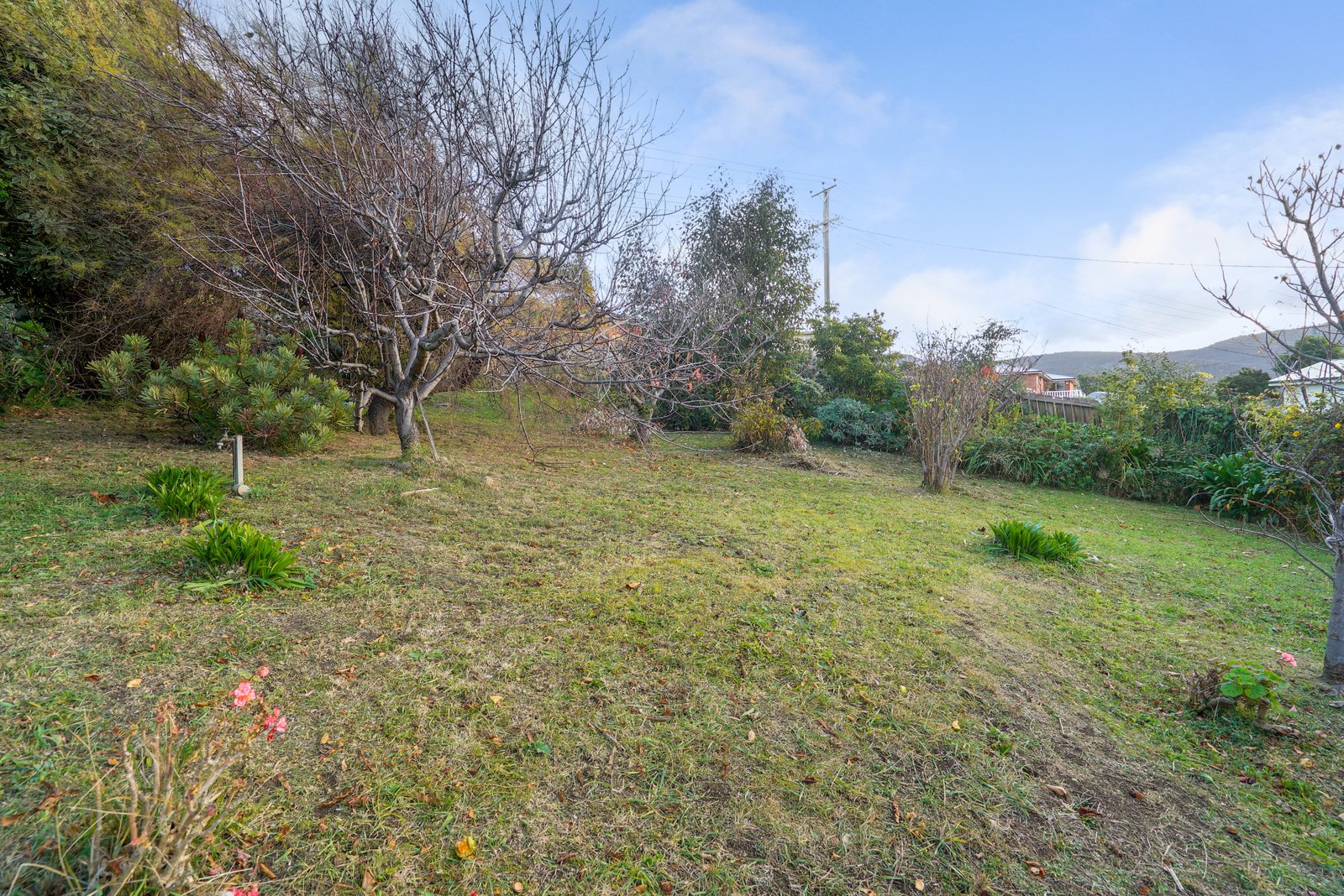 66 Twelfth Avenue WEST MOONAH 23