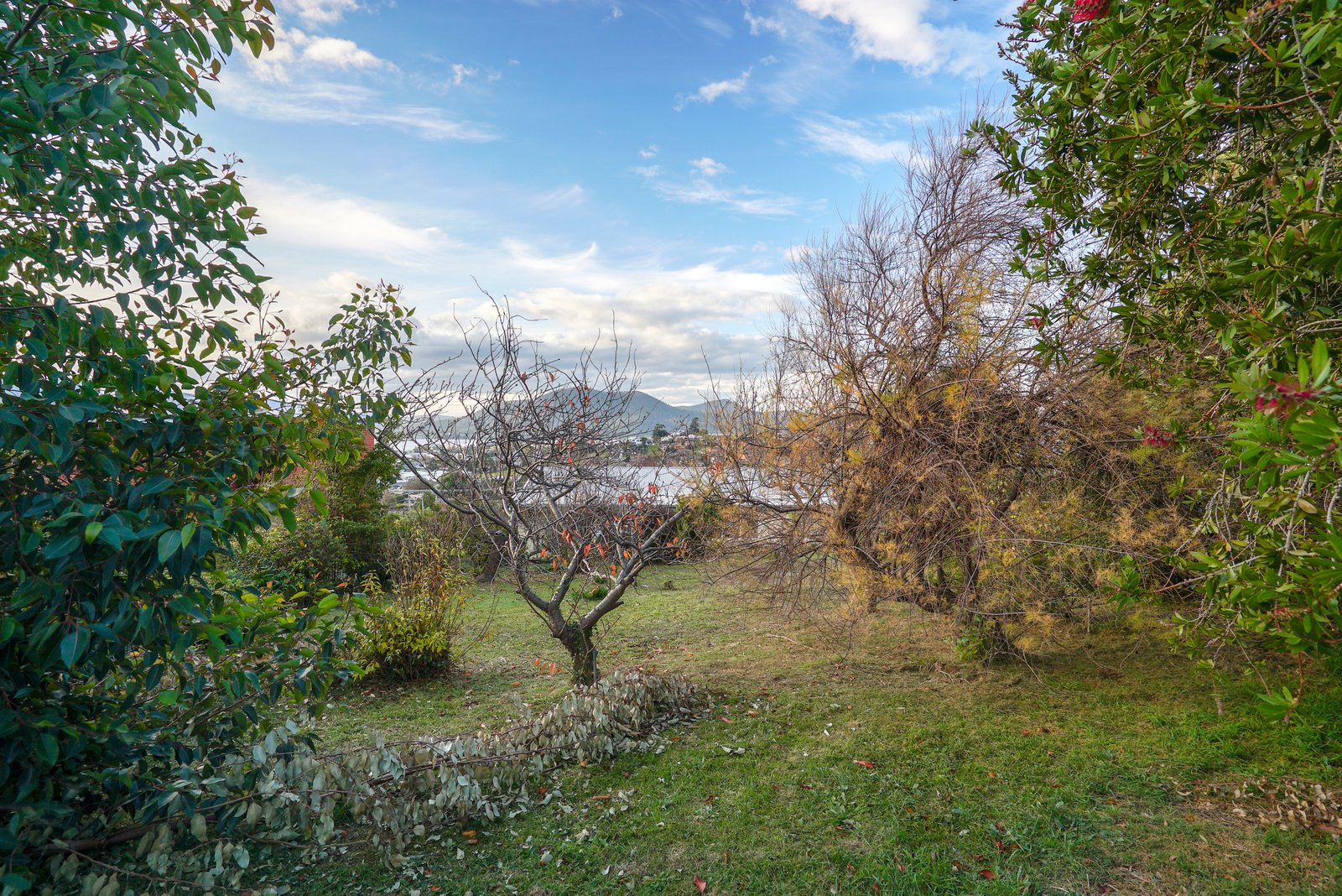 66 Twelfth Avenue WEST MOONAH 25