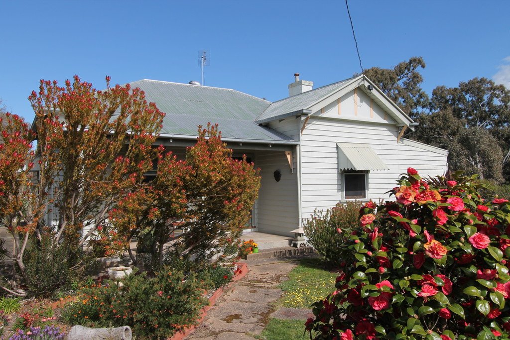 66 Williamson Street LEXTON 2
