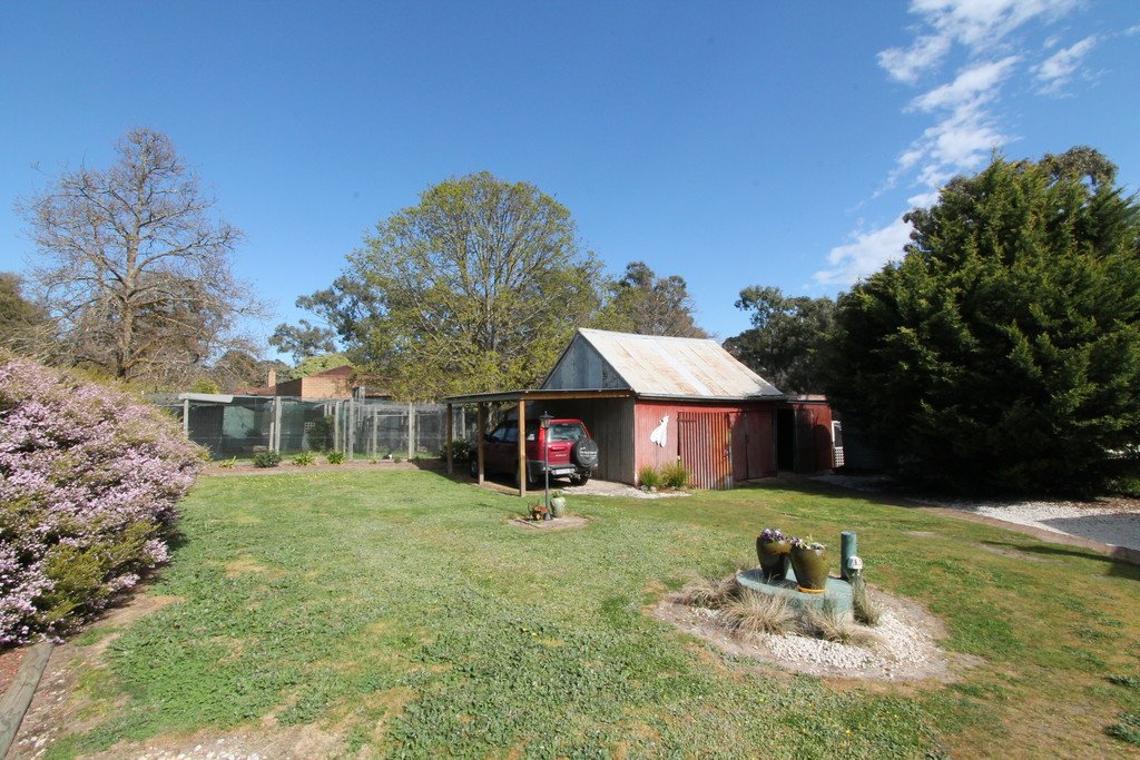 66 Williamson Street LEXTON 14