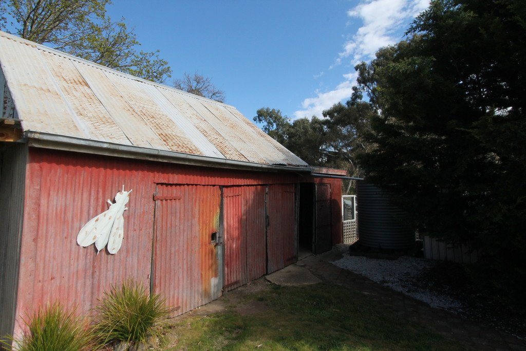 66 Williamson Street LEXTON 15