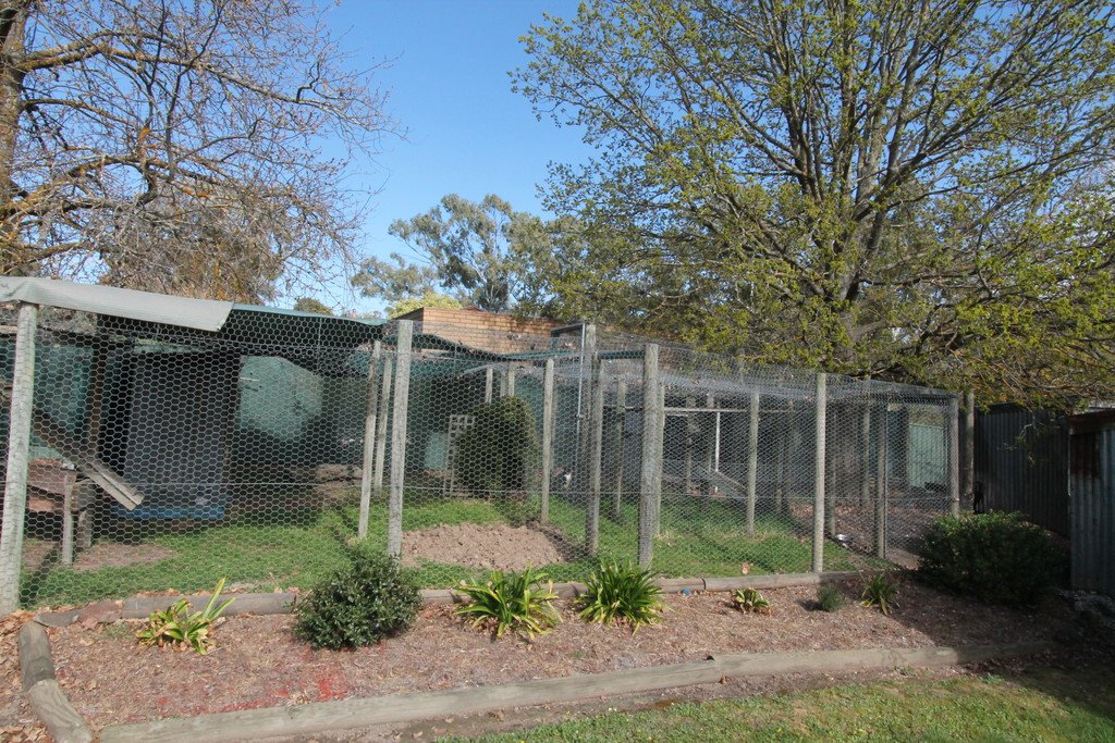 66 Williamson Street LEXTON 16