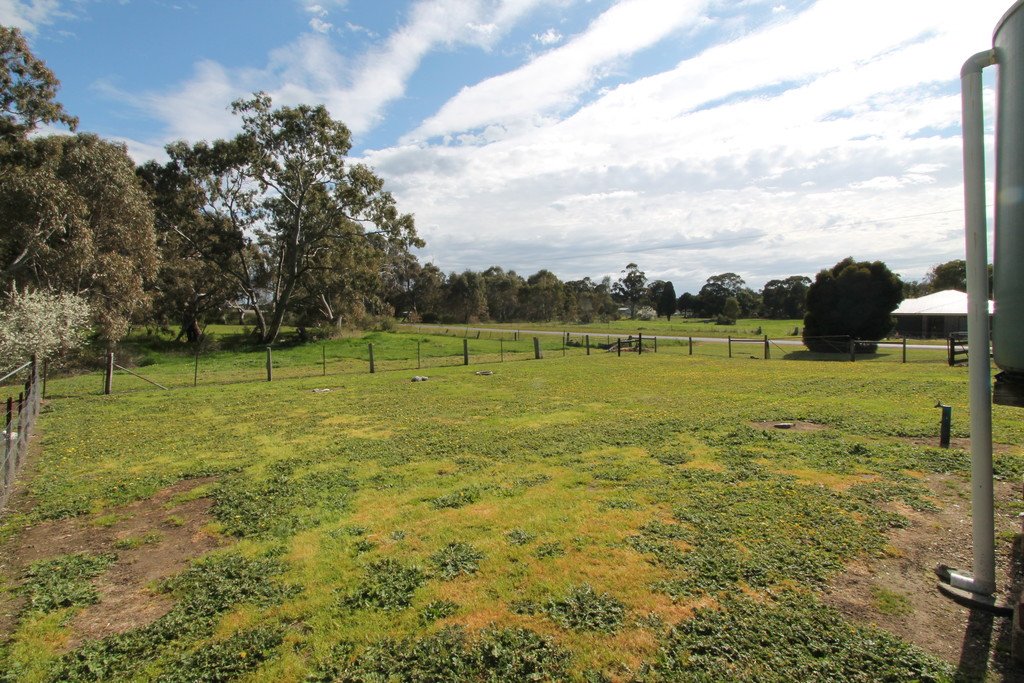 66 Williamson Street LEXTON 18