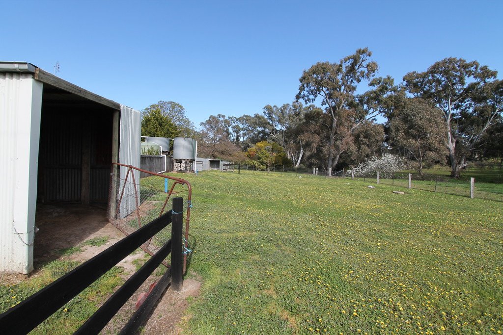 66 Williamson Street LEXTON 19