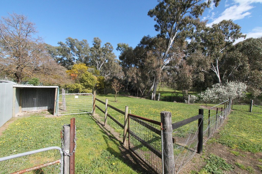 66 Williamson Street LEXTON 20