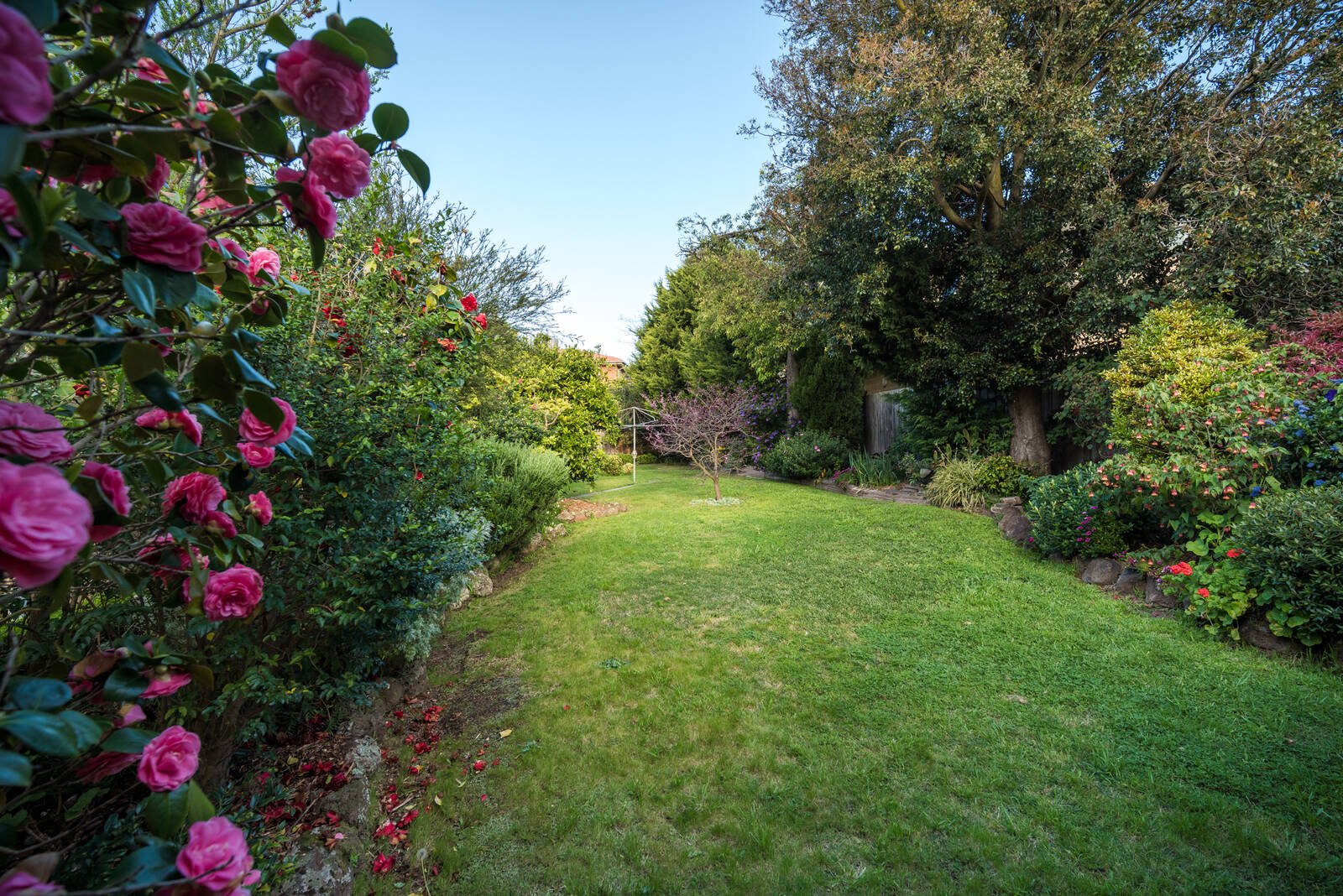 Real Estate and Property in 66 Yerrin Street, Balwyn, VIC