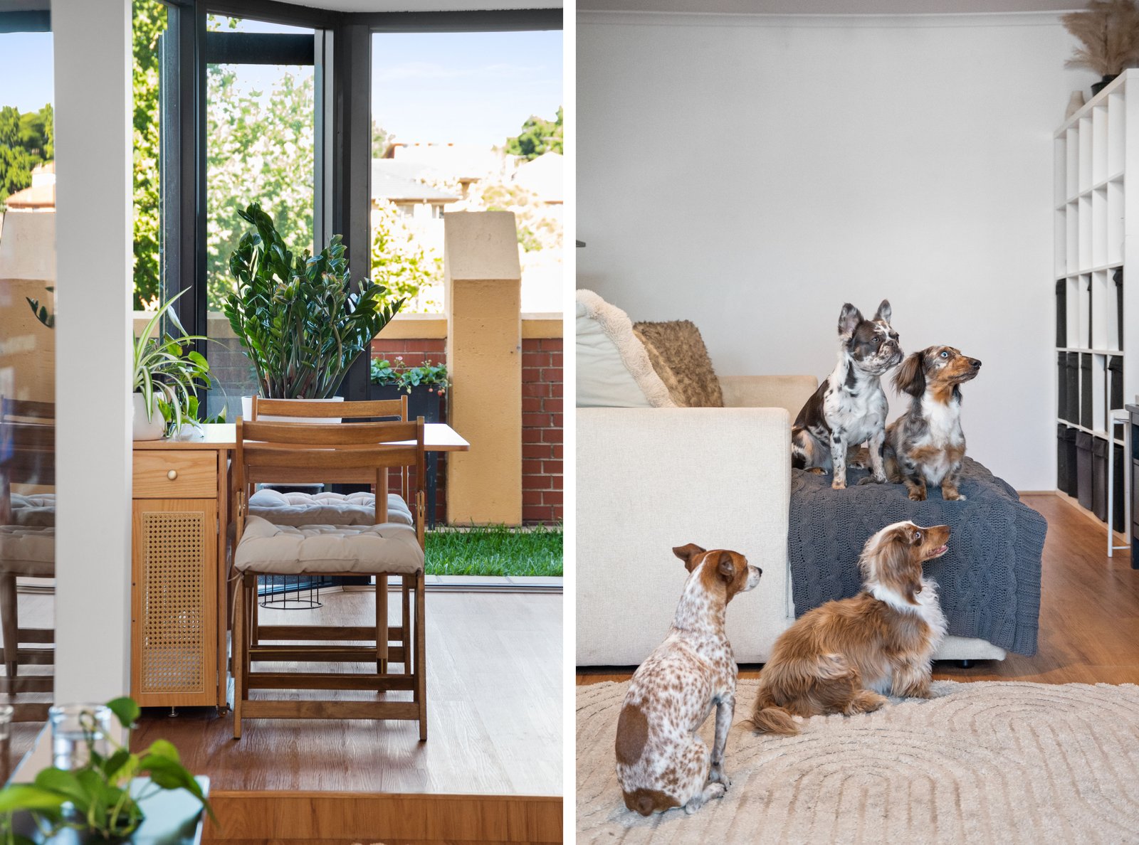 6/60 Harbourne Road KINGSFORD 5