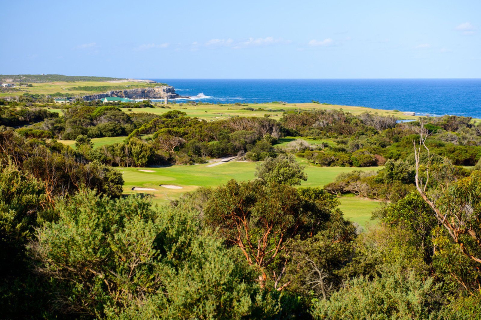 6/62 Rhodes Street HILLSDALE 11