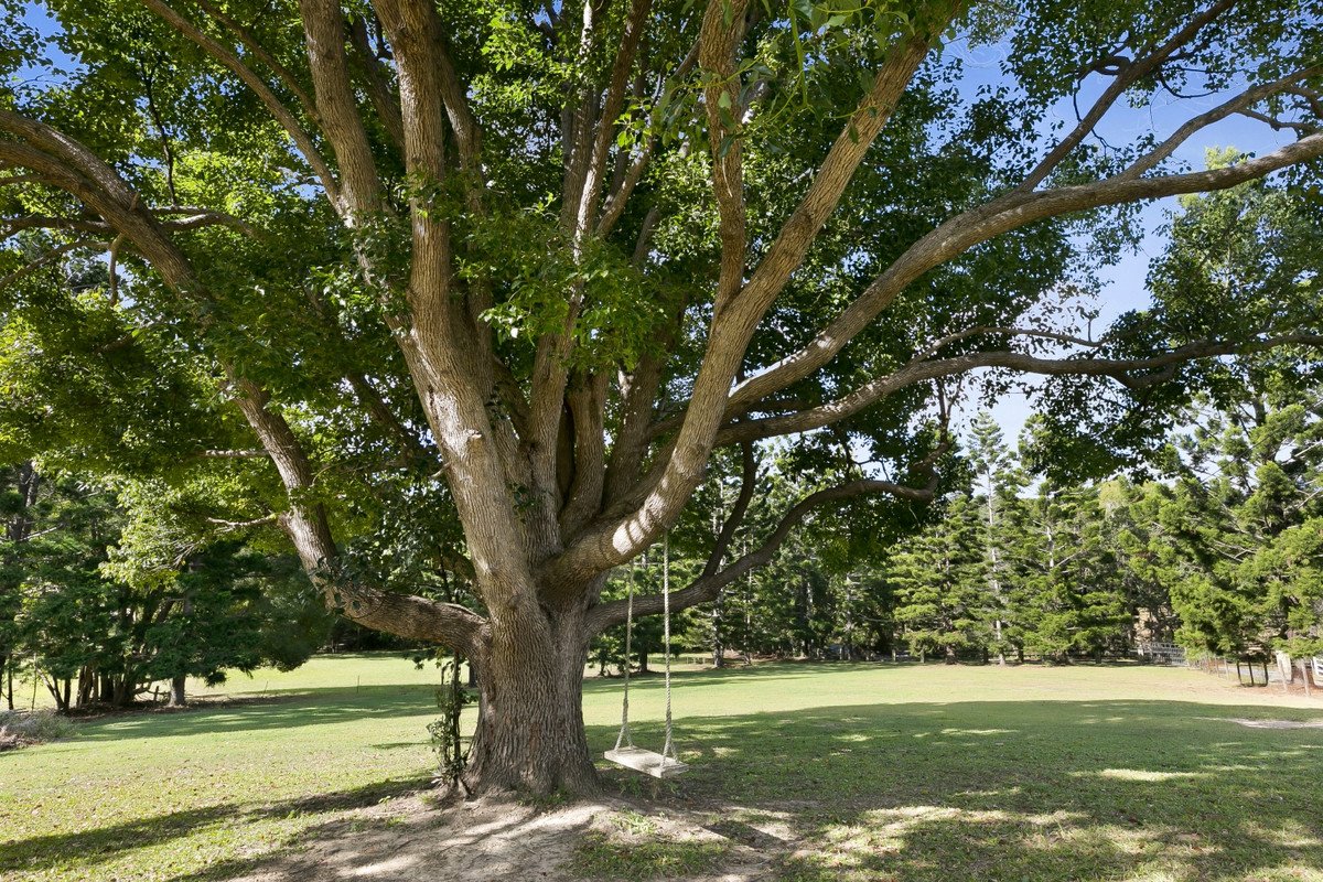 664 Currumbin Creek Road Currumbin Valley 1