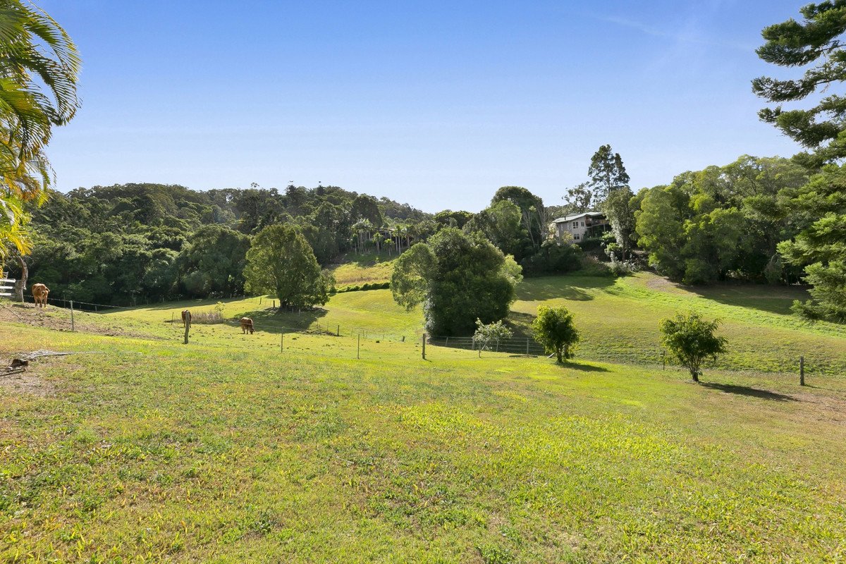 664 Currumbin Creek Road Currumbin Valley 11