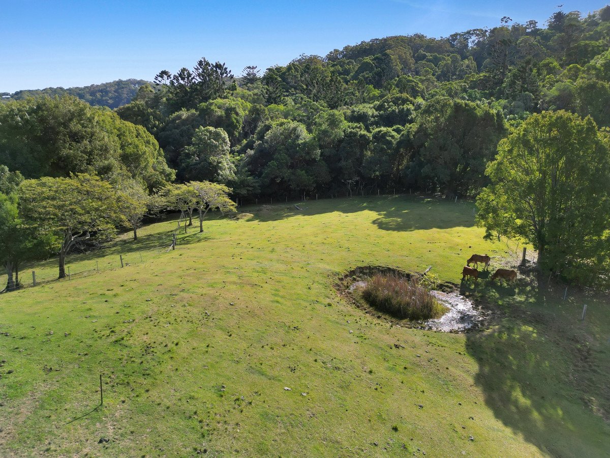 664 Currumbin Creek Road Currumbin Valley 12