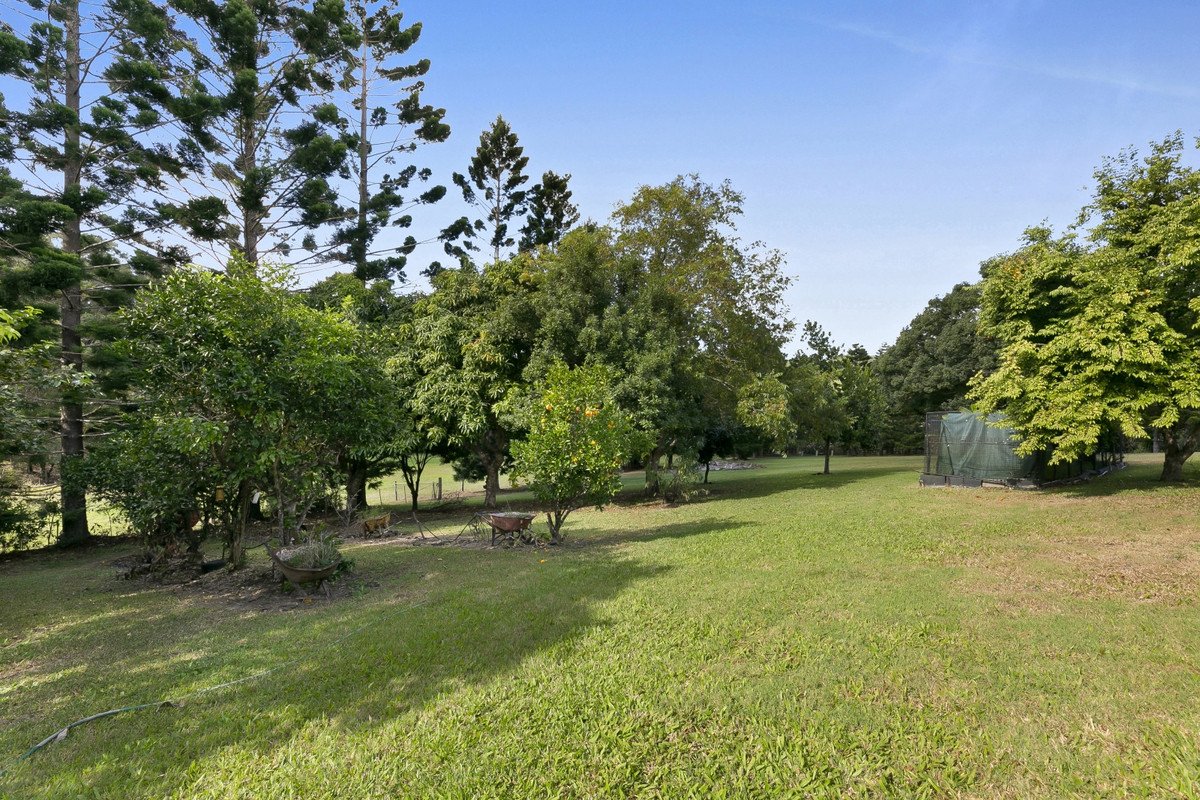 664 Currumbin Creek Road Currumbin Valley 14