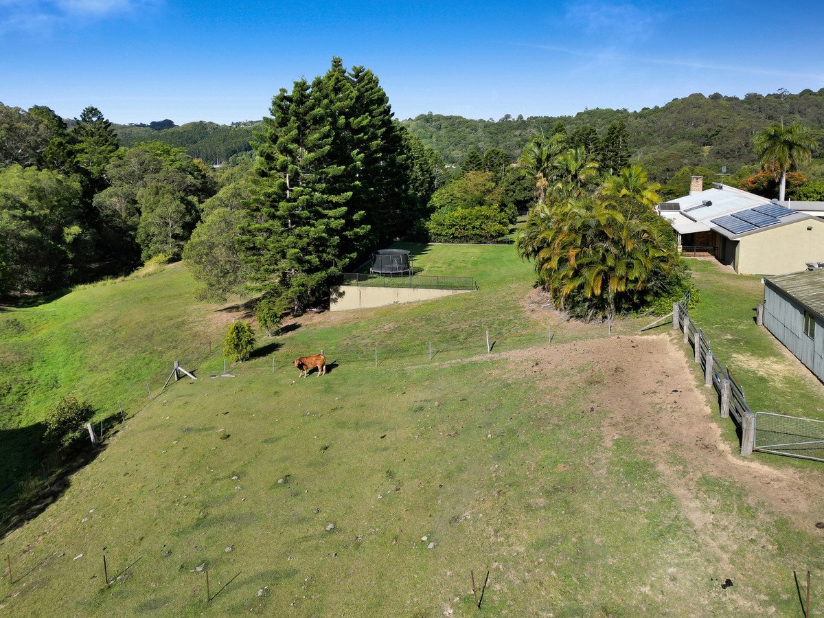664 Currumbin Creek Road Currumbin Valley 15