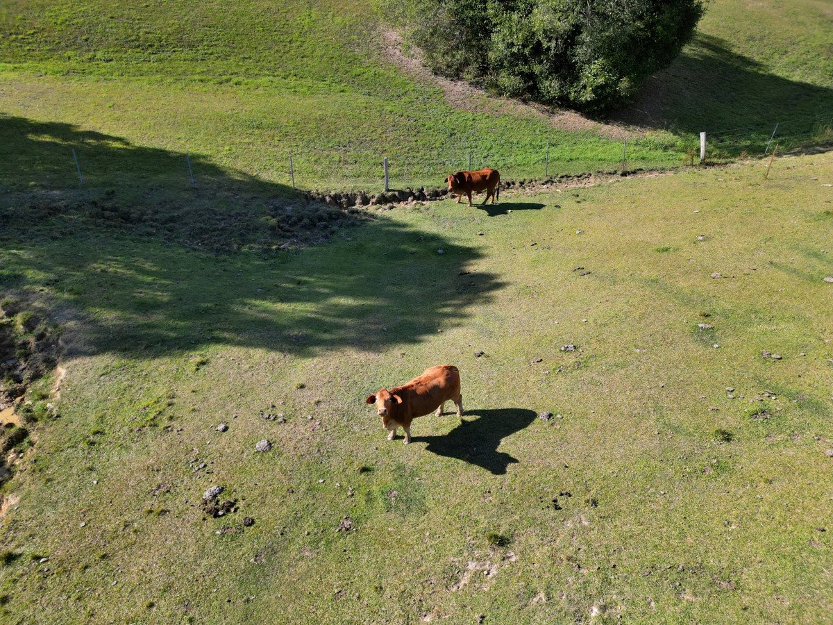 664 Currumbin Creek Road Currumbin Valley 16