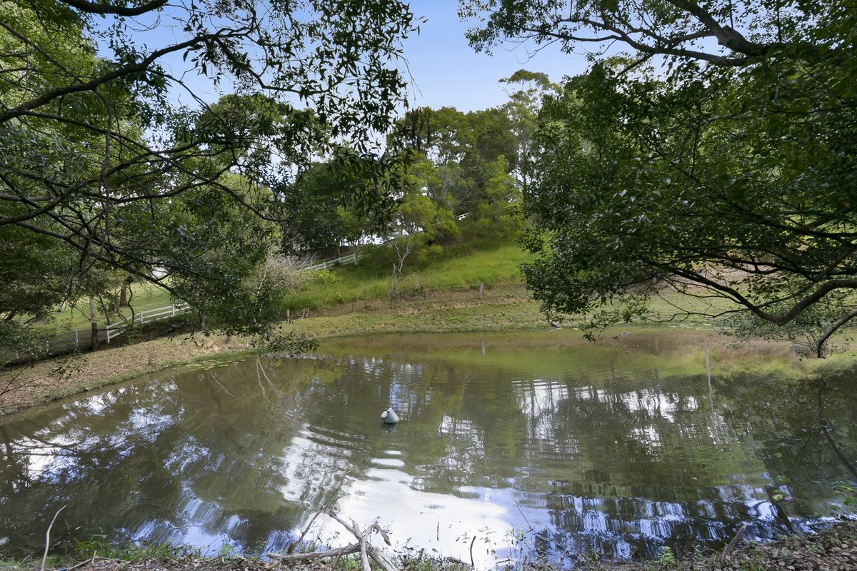 664 Currumbin Creek Road Currumbin Valley 17