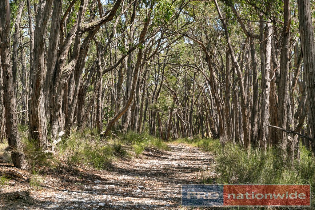 668 Browns Road SCARSDALE 17