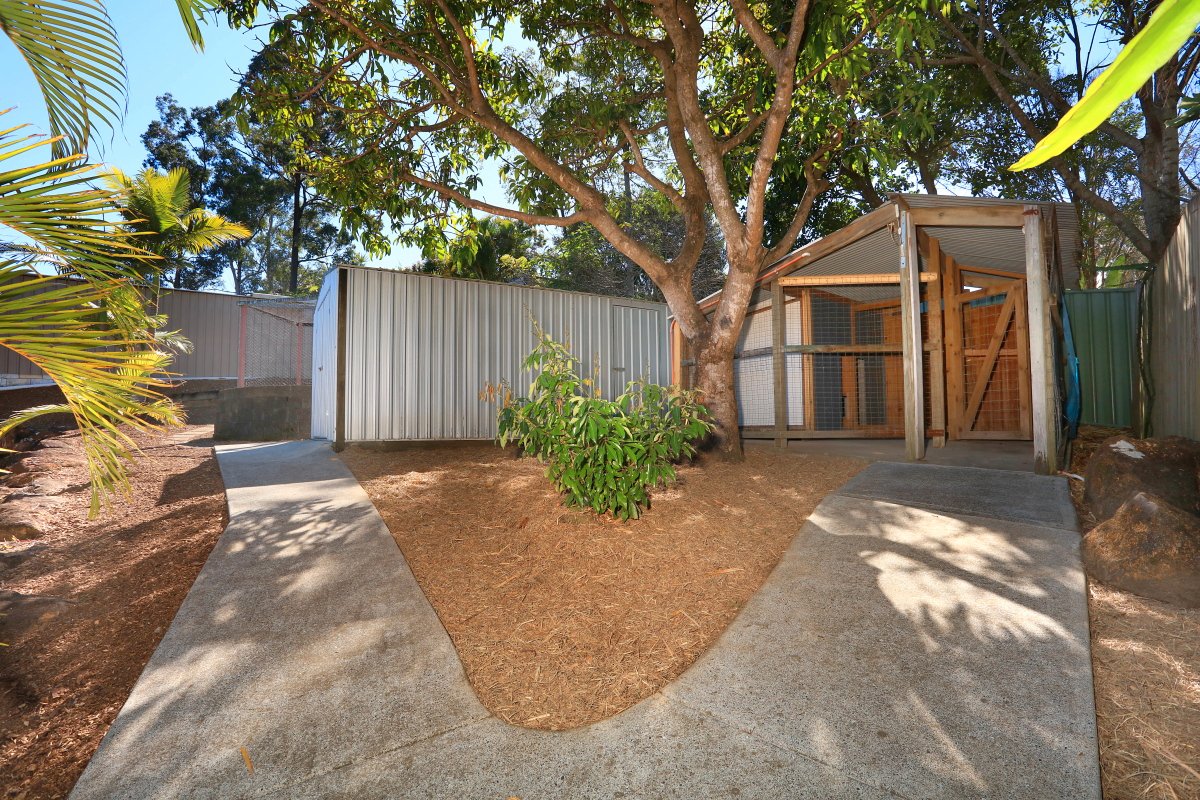 669 Ashmore Road MOLENDINAR 20