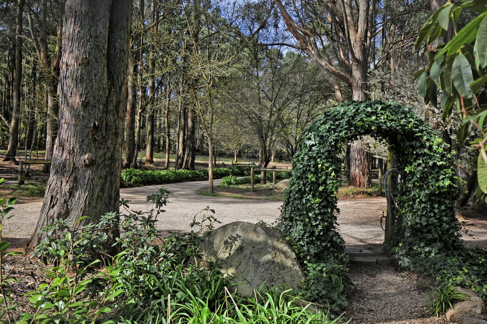 Real Estate and Property in 669 Sandy Creek Road, Riddells Creek, VIC