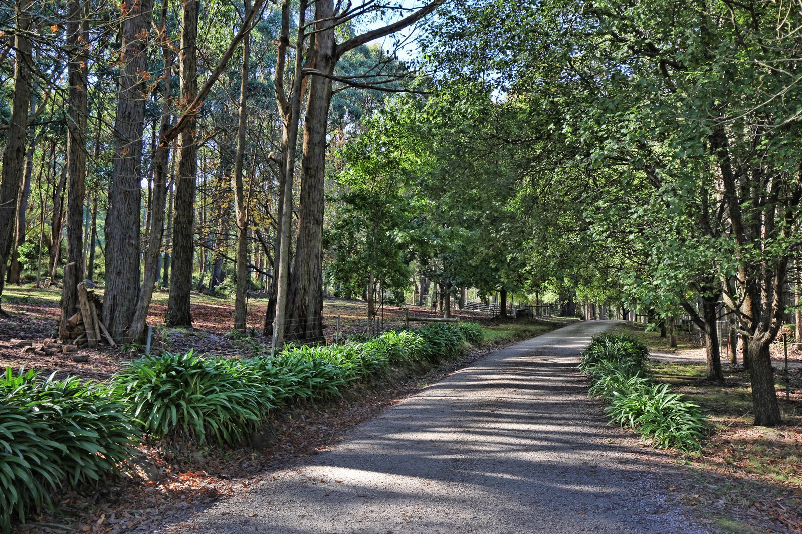 Real Estate and Property in 669 Sandy Creek Road, Riddells Creek, VIC