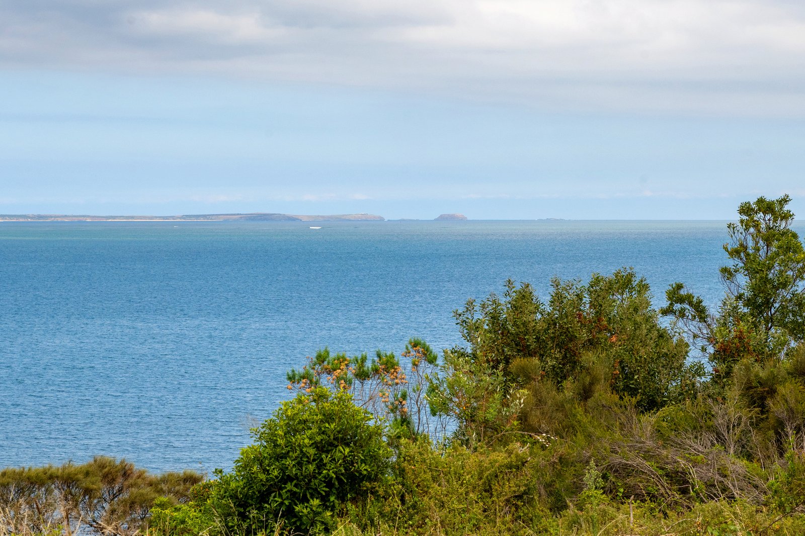 Gallery: 67-69 Tasman Road